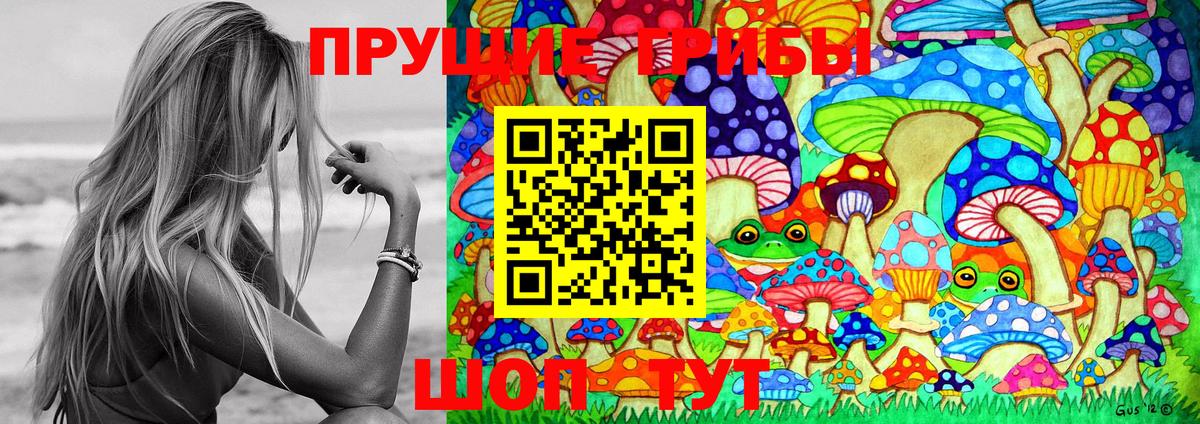 Галлюциногенные грибы GOLDEN TEACHER  Псилоцибиновые грибы Cubensis  Вход с VPN  Нижний Тагил 