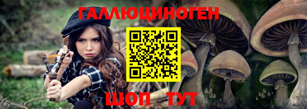 Псилоцибиновые грибы мицелий Нижний Тагил